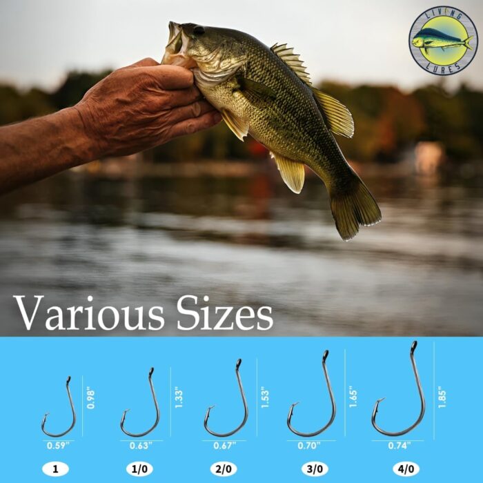 Fishing Hooks, Circle Hooks, 150PCS 2X Strong Rust & Corrosion Resistant High Carbon Steel, Saltwater Fishing, Catfishing, Catfish Hooks, Fish Hooks, Sizes 1, 1/0, 2/0, 3/0, 4/0 - Image 3
