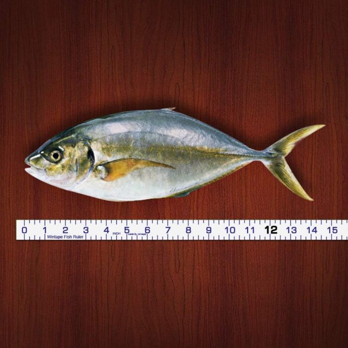 Adhesive Fish Ruler - 40 Inch Measuring Tape for Fishing Boat, Kayak, Cooler, Workbench - Waterproof Sticker - Image 4