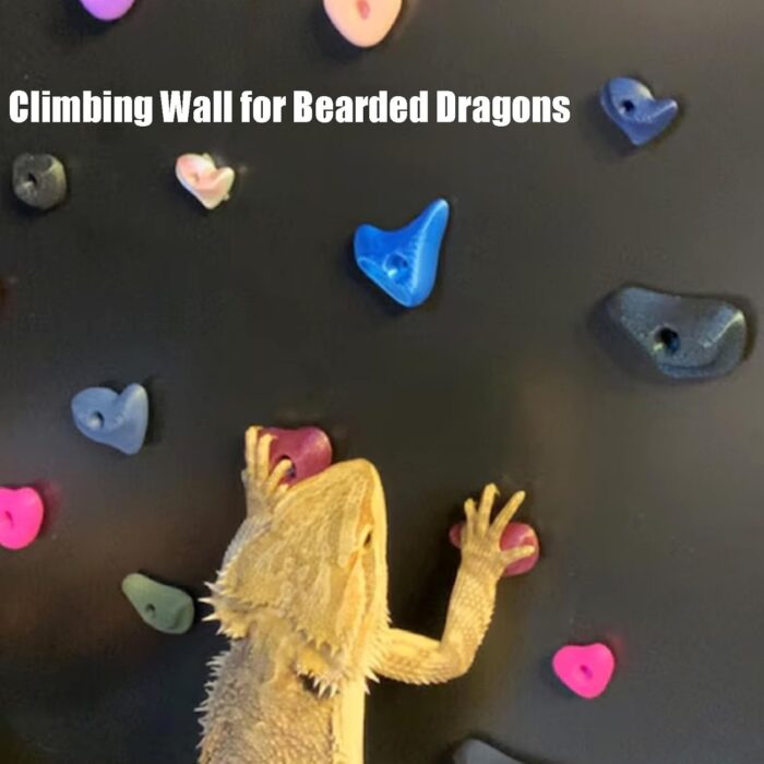24Pcs Rock Climbing Holds for Bearded Dragons,Reptiles Toy Rock Wall Holds,6 Multi-Size Climbing Rock Wall Grips for Bearded Dragons Tank Accessories - Image 3