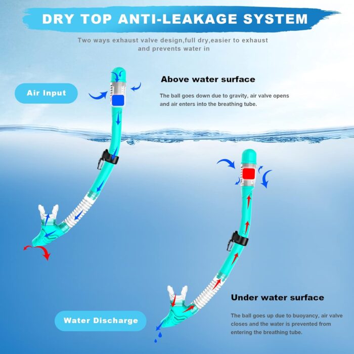 Snorkeling Gear for Adults, Dry Top Snorkel Set with Panoramic Anti-Leak and Anti-Fog Tempered Glass Lens, Adjustable Snorkeling Set for Scuba Diving Swimming Training Snorkel Kit - Image 5