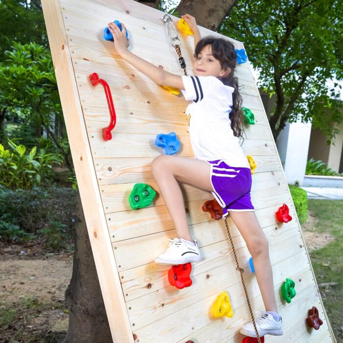 TOPNEW 20 PCS Rock Climbing Holds for Kids, Rock Wall Holds with 6.56 Ft Climbing Rope and 2 Handles, Rock Wall Climbing Kit for Indoor and Outdoor Playset - Includes Mounting Hardware - Image 6