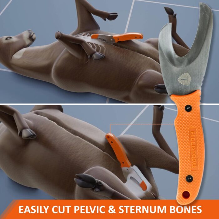 Field Dressing Kit | 4-in-1 Super Tool with Sheath & Sharpener | Skinning Knife for Hunting | Gut Hook | Deer Hunting Knife Set | FRN - Image 8