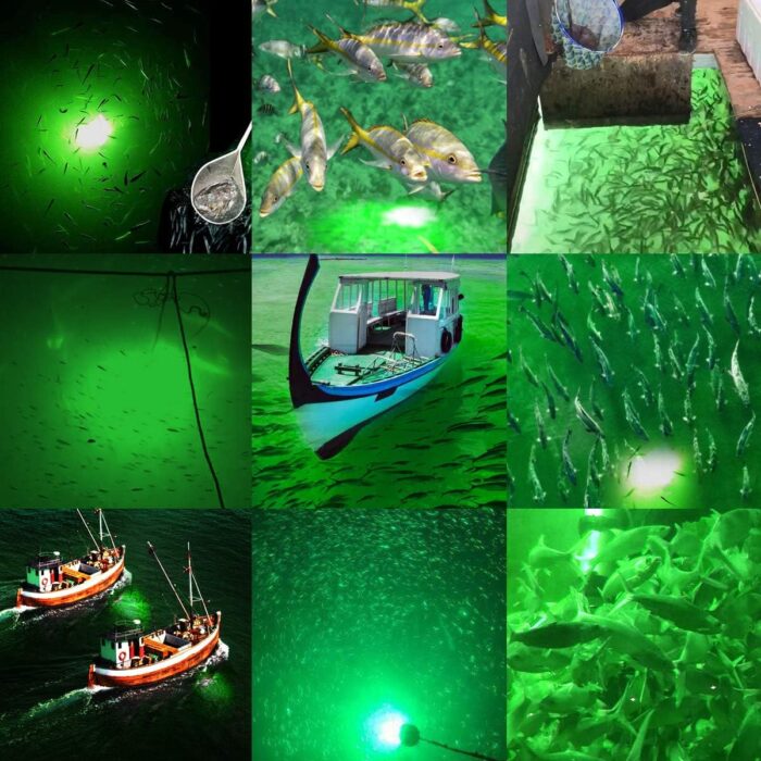 SAMDO IP68 12V LED Underwater Fishing Light 1080 Lumens Fish Attracting Light, Night Fishing Light 10.8W - Image 4