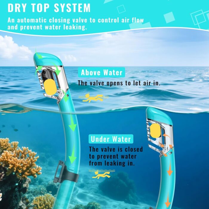 Snorkeling Gear for Adults, Snorkel Set Scuba Diving mask Dry-Top, Adult Swimming Goggles w/Nose Cover, HD Tempered Glass Panoramic Anti-Leak Anti-Fog, Travel Snorkeling Packages - Image 6