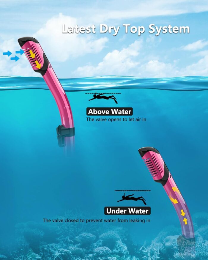 Bairuifu 2 Packs Dry Snorkel Mask Set Snorkeling Gear for Adults Scuba Diving Mask Swimming Glasses Swim Dive Mask Nose Cover Free Diving - Image 5