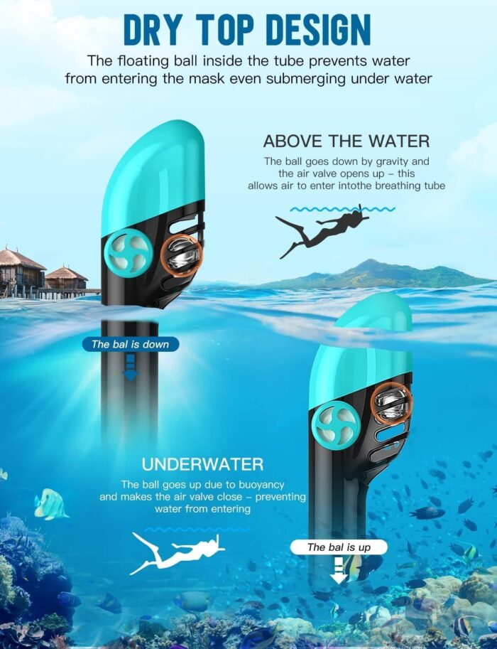 Zenoplige Full Face Snorkel Mask Adults,Dry-Top Snorkeling Gear with Camera Mount,Foldable 180-Degree Panoramic Scuba Mask for Snorkeling Diving Swimming Travel,Snorkel Mask Anti-Fog & Anti-Leak - Image 4