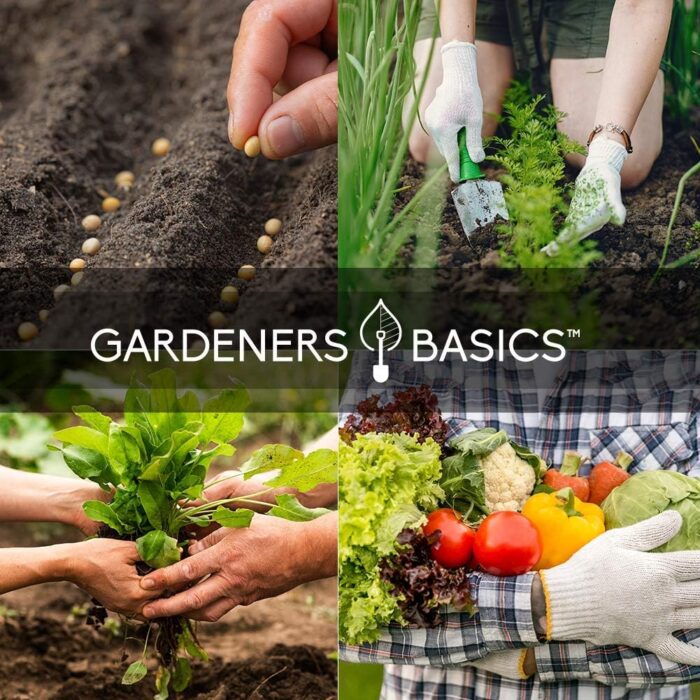 Gardeners Basics Survival Vegetable Seeds Garden Kit Over 16,000 Seeds Non-GMO and Heirloom, Great for Emergency Bugout Survival Gear 35 Varieties Seeds for Planting Vegetables 35 Free Plant Markers - Image 7