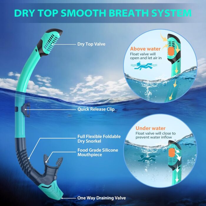 Snorkeling Gear for Adults, Mask Fin Snorkel Set, Dry Top Snorkel, Snorkeling Kit Travel Diving Package, Panoramic View Anti-Fog Anti-Leak Adjustable Swim Fins - Image 3