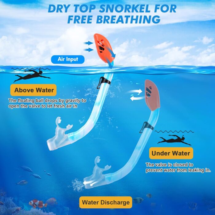 Kids Snorkel Set, Children Anti-Fog Diving Mask Swimming Goggles Dry Top Snorkel Equipment Snorkeling Packages Swimming Gear for Youth Boys Girls Age 5-10 - Image 4