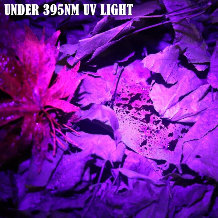 B2 Blood Tracking Light for Deer, Blood Tracker Flashlight for Hunting, Deer Hunting Accessories for Men - Image 3