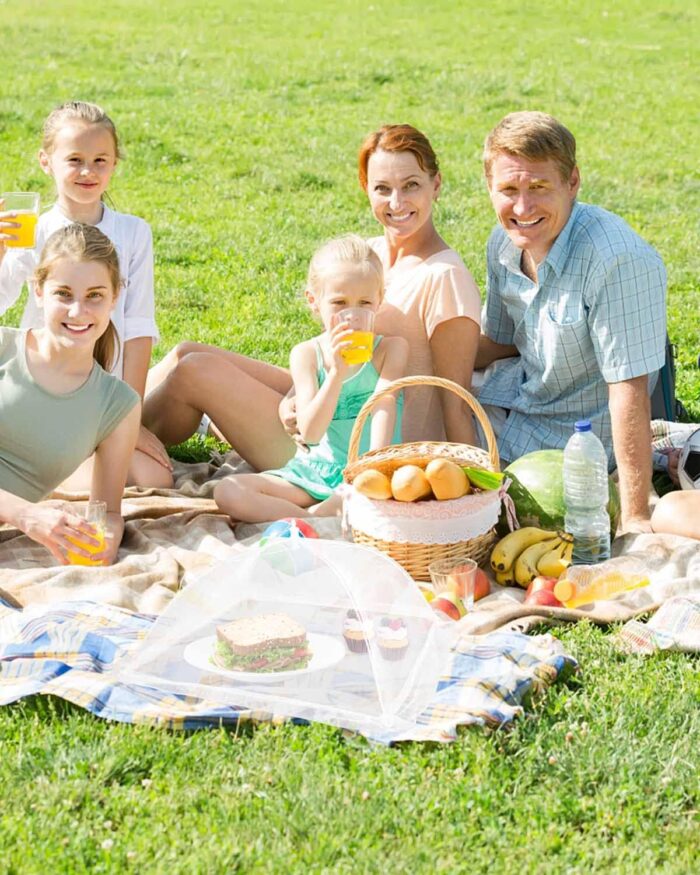Large Food Cover,6 Pack Mesh Food Tent,17"x17",White Nylon Covers,Pop-Up Umbrella Screen Tents,Patio Net for Outdoor Camping, Picnics, Parties,BBQ,Collapsible and Reusable - Image 8