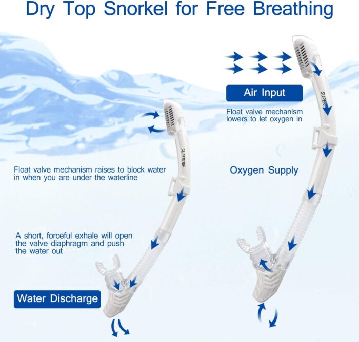 Supertrip 2024 Snorkeling Gear for Adults, Anti-Fog Snorkel Set, Tempered Glass Snorkel Mask Adult, Anti-Leak Snorkel Snorkeling Gear, Scuba Diving Mask and Snorkel for Women Men Youth - Image 6