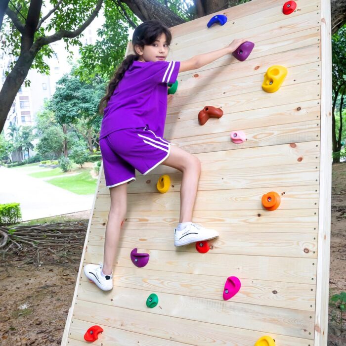TOPNEW 32 Rock Climbing Holds Multi Size for Kids, Adult Rock Wall Holds Climbing Rock Wall Grips for Indoor and Outdoor Playground Play Set - Includes 2 Inch Mounting Hardware - Image 5