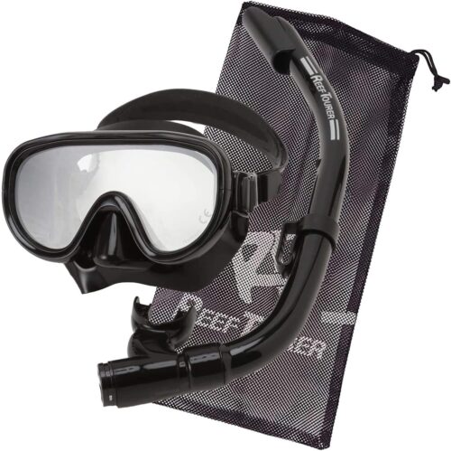 Snorkeling Gear for Adults, Single-Window Snorkel Mask & Snorkel Set, Semi-Dry Top Panoramic Wide View Snorkel Mask, Adult Snorkel Set Ages 10+ Swimming Diving Package w/Travel Bag RC0105
