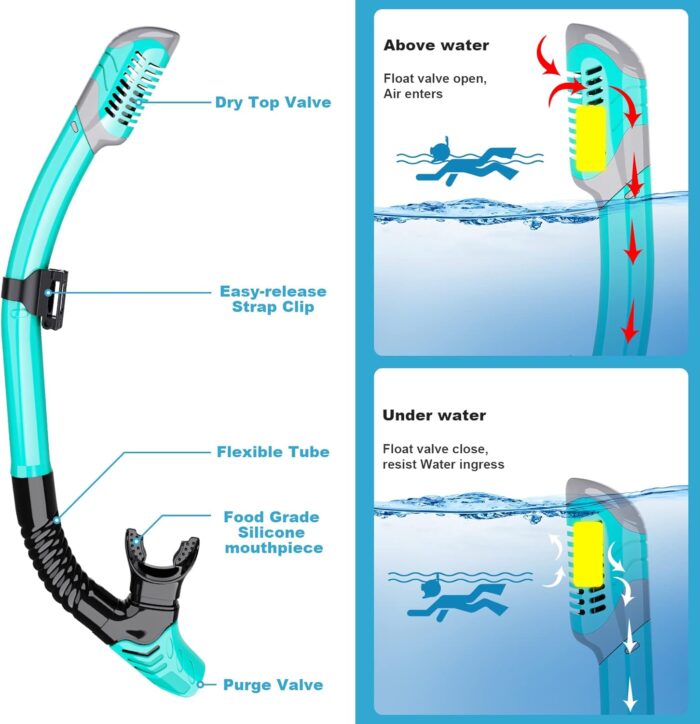 Mask Fin Snorkel Set, Snorkeling Gear for Adults with Panoramic View Mask, Dry Top Snorkel, Adjustable Swim Fins and Travel Bag, Man Woman Snorkel Gear for Swimming Snorkeling Diving - Image 3