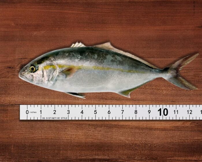 DS. DISTINCTIVE STYLE Fish Ruler Sticker 40-Inch Waterproof Adhesive Ruler Tape Fish Measuring Tape for Kayak, Boat, and Workbench - Image 6