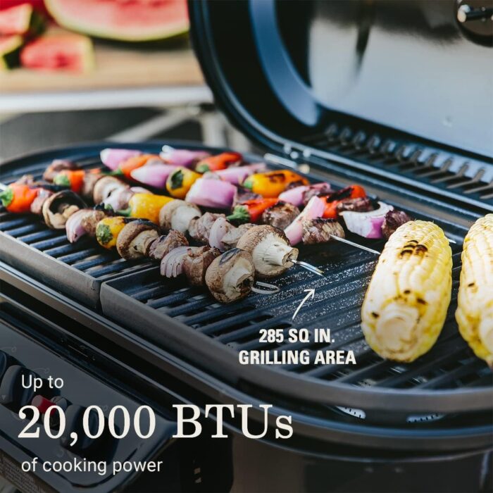 Coleman Gas Grill Portable Propane Grill RoadTrip - Image 2