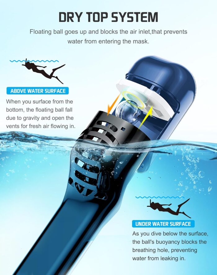 Greatever Full Face Snorkel Mask, Snorkeling Gear for Adults with Latest Dry Top Breathing System and Detachable Camera Mount, Foldable Snorkel Mask Adult, Snorkels Anti-Fog & Anti-Leak - Image 3