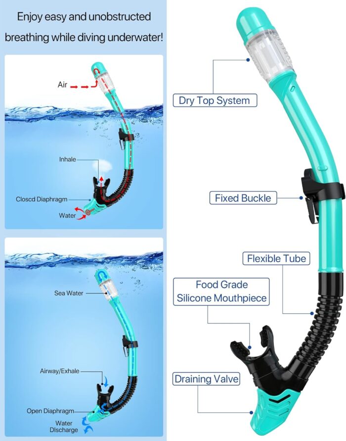 Snorkeling Gear for Adults Men Women,4 in 1 Snorkel Set with Panoramic View Diving Mask Anti-Fog Anti-Leak,Dry Top Snorkel,Fins and Travel Bag for Swimming,Snorkeling and Travel Diving - Image 3