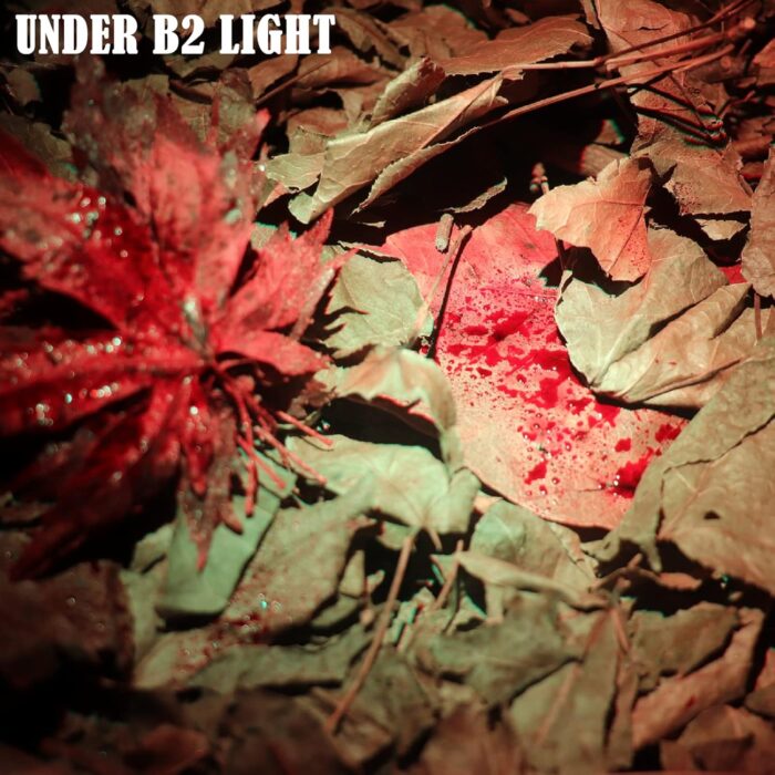 B2 Blood Tracking Light for Deer, Blood Tracker Flashlight for Hunting, Deer Hunting Accessories for Men - Image 2