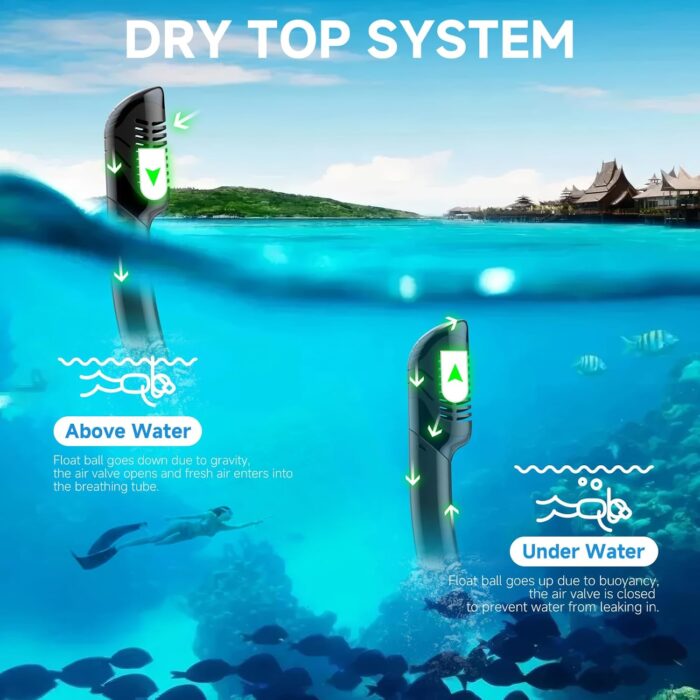 Snorkeling Gear for Adults, Dry-Top Snorkel Set Scuba Diving mask, 180°Panoramic Wide View Professional Snorkeling Gear Breathing Freely Snorkel Mask - Image 5