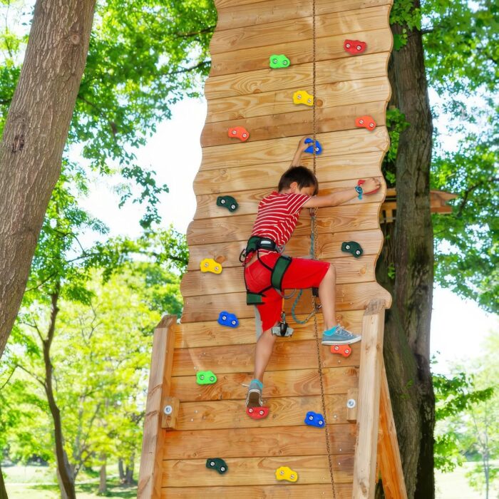 25 PCS Rock Climbing Holds for Kids, Rock Wall Holds with 7.48 Ft Climbing Rope, Indoor and Outdoor Rock Wall Kit, Multi-Colored Climbing Rock Wall Grips for Playground Play Set (Small) - Image 6