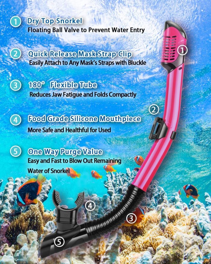 Snorkeling Gear for Adults, Adult Snorkel Set with Panoramic Anti-Leak and Anti-Fog Tempered Glass Snorkel Mask, Dry Top Snorkel, Snorkle Mask Set Adult with Mesh Bag Ear Plug for Snorkeling - Image 4