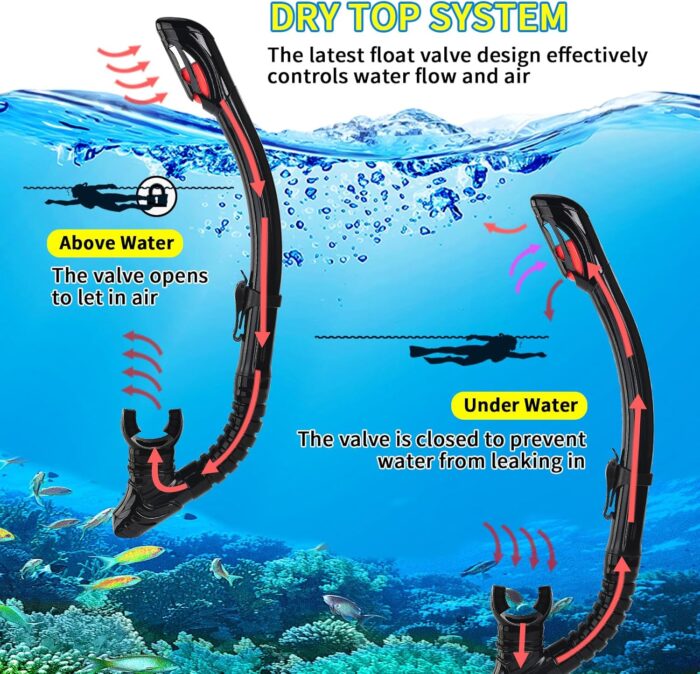 Snorkeling Gear for Adults Youth, Nearsighted Anti-Fog Diving Mask & Silicone Dry Snorkel for Scuba Diving Spearfishing Freediving - Image 5