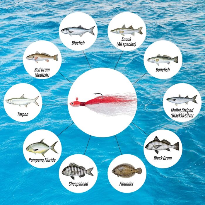Dr.Fish 269 Pieces Surf Fishing Tackle Box Kit, Saltwater Ocean Beach Fishing Gear Supplies, Lure&Rig Accessories, Bucktail Jigs Saltwater Lures Walking Bait Surf Casting Pyramid Sinkers - Image 7