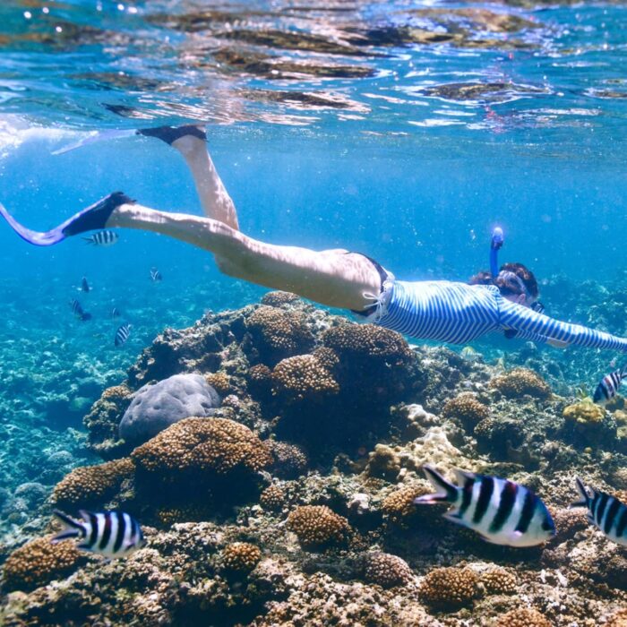 Kids Snorkeling Set Children Mask Fin Snorkel Set Snorkeling Gear Snorkel Mask + Adjustable Swimming Kids Flippers+ Dry Snorkel Tube + Travel Bags - Image 6