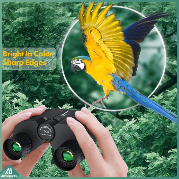 Aurosports 10x25 Binoculars for Adults and Kids, Large View Compact Binoculars with Low Light Vision, Easy Focus Small Binocular for Bird Watching Outdoor Travel Sightseeing Concert Hunting Hiking - Image 2
