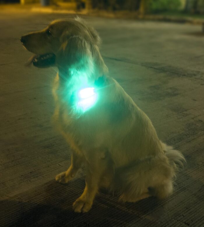 LED Safety Light (2 Pack) - Clip On Strobe/Running Lights for Runners, Dog, Bike, Walking, Boat, Kayak, Stroller and More - High Visibility Accessories for Your Reflective Gear, Bicycle - Image 9