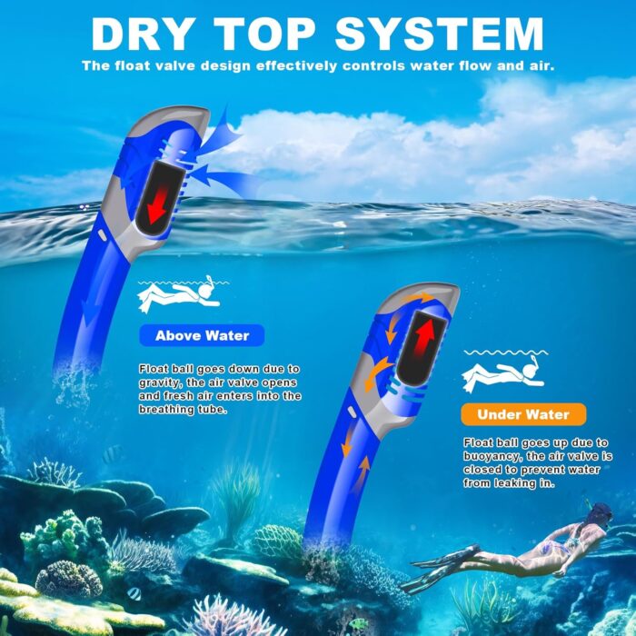 Snorkeling Gear for Adults, Snorkel Mask Adult Dry Top Snorkel Set with Panoramic View Anti-Fog Scuba Diving Mask for Snorkeling Swimming Travel, Snorkeling Kit Diving Packages - Image 3