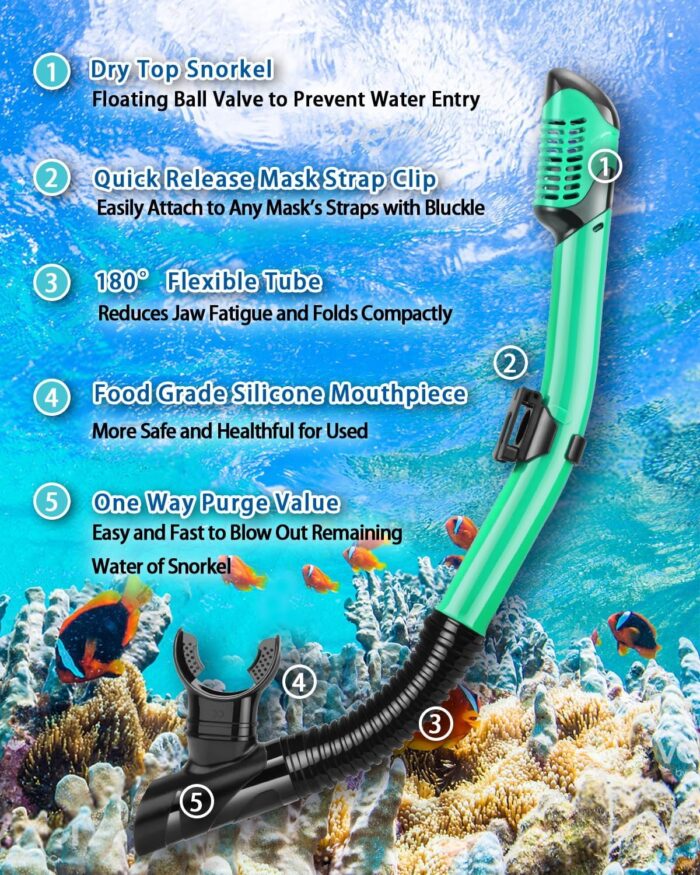 Snorkeling Gear for Adults, 4 in 1 Adult Snorkel Set with Panoramic View Snorkel Mask, Dry Top Snorkel, Adjustable Short Fins and Travel Bag, Snorkel Set with Fins for Snorkeling Diving - Image 4