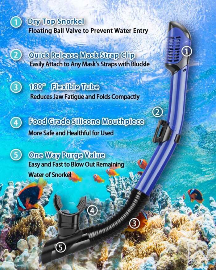 Snorkeling Gear for Adults Kids, Dry Snorkeling Set, Panoramic Anti-Leak and Anti-Fog Tempered Glass Lens, Adjustable Strap Snorkel Set with Mesh Bag Ear Plug for Snorkeling Scuba Diving Travel - Image 4