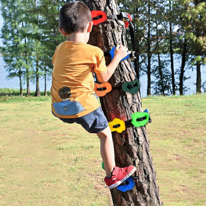 25 PCS Rock Climbing Holds for Kids, Rock Wall Holds with 7.48 Ft Climbing Rope, Indoor and Outdoor Rock Wall Kit, Multi-Colored Climbing Rock Wall Grips for Playground Play Set (Small) - Image 7