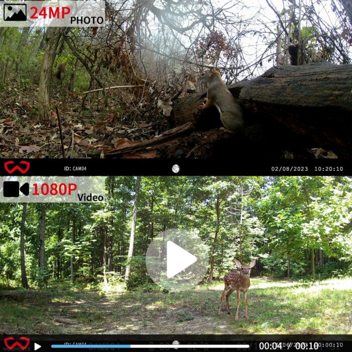 Mini Trail Camera 4 Pack 24MP 1080P HD, Game Cam with SD Card, Waterproof Tiny Hunting Camera Night Vision Motion Activated with Fast Trigger Time for Outdoor Wildlife Monitoring - Image 2